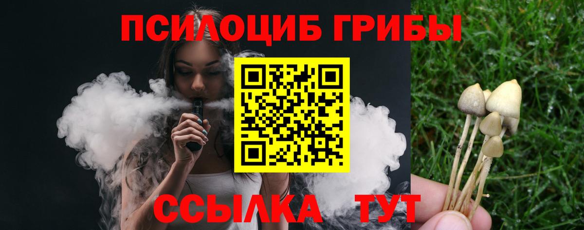 Псилоцибиновые грибы Psilocybine cubensis Нальчик